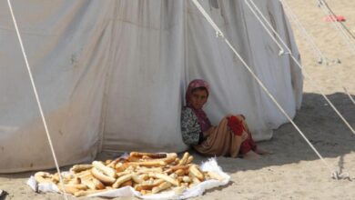 صورة “الغذاء العالمي” : 154 مديرية يمنية تعاني من انعدام الأمن الغذائي الحاد