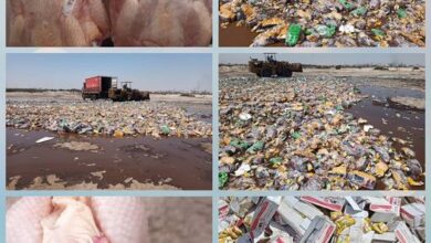 صورة رفض شحنات دجاج مجمد ولحوم فاسدة في ميناء المنطقة الحرة بالعاصمة عدن
