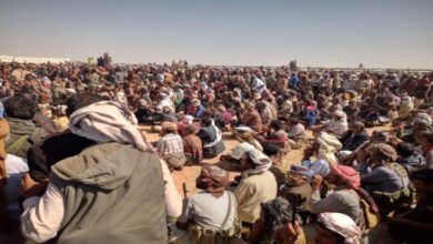 صورة صحيفة بريطانية: قبائل شبوة تتحرك لمواجهة مخطط إخواني – حوثي يستهدف المحافظة