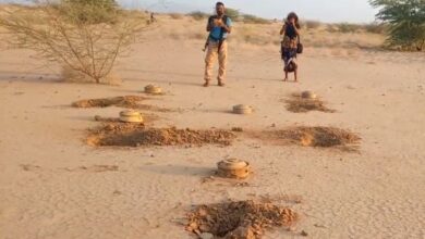 صورة اكتشاف حقل ألغام جديد على مساحة 700 متر في مناطق زراعية جنوب الجراحي بالحديدة اليمنية