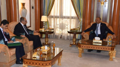 صورة لدى استقباله السفير المصري.. الرئيس الزُبيدي يشدد على أهمية تكامل الأدوار في مكافحة الإرهاب وتأمين الملاحة الدولية