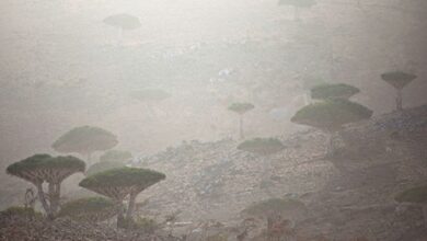 صورة هطول أمطار غزيرة على أرخبيل سقطرى