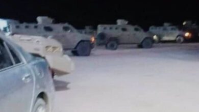 صورة وصول تعزيزات عسكرية لألوية العمالقة الجنوبية إلى بيحان