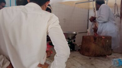 صورة إقبال كثيف على منافذ بيع اللحوم الحكوميه بالسعر المميز بالمنصورة