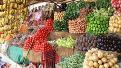 صورة أسعار الخضروات والفواكه بأسواق  العاصمة عدن اليوم الأربعاء