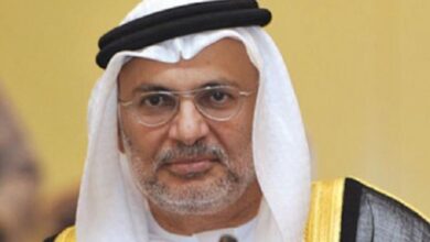 صورة المستشار الدبلوماسي لرئيس الإمارات يقترح حلولا للوقاية من الأزمات الكبرى