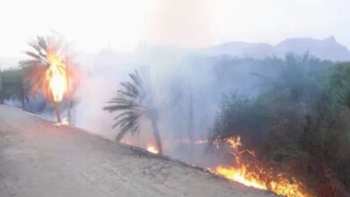 صورة اندلاع حريق بمزارع شبام التاريخية