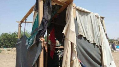 صورة امرأة  تذ بح ضرتها في مخيم الجفينة بمأرب اليمنية