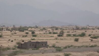 صورة توثيق 74 خرقاً جديداً لمليشيا الحوثي في الساحل الغربي