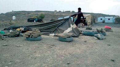 صورة الأمم المتحدة: 5 ملايين يمني يحصلون على النصف فقط من احتياجاتهم الغذائية اليومية