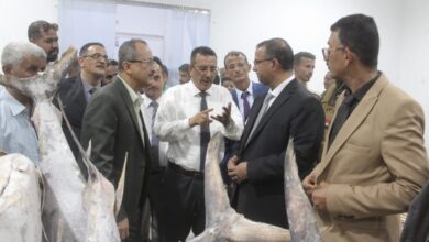 صورة الزعوري يلتقي رؤساء الجمعيات السمكية ويزور مصنع الوطنية لتعليب الأسماك بالشحر