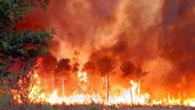 صورة دول الاتحاد الأوروبي تساعد فرنسا في إخماد حرائق الغابات