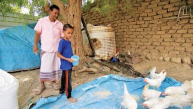 صورة مليشيات الحوثي تحظر توزيع البيض إلى المناطق المحررة
