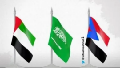صورة “سهام الشرق” ترسم لوحة تقارب جديدة بين الجنوب والتحالف العربي