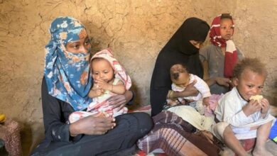 صورة الهجرة الدولية: أكثر من 55 ألف شخص نزحوا في اليمن منذ بداية العام الجاري