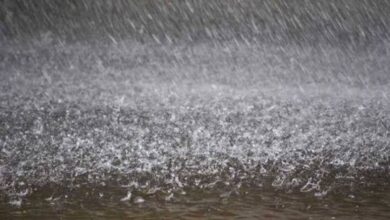 صورة رياح مثيرة للأتربة بالسواحل.. وأمطار على سقطرى غدا
