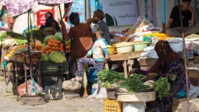صورة مليشيات الحوثي تهدد بـ«تأميم» كبرى المجموعات التجارية