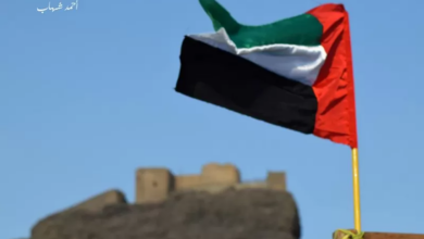 صورة خلال 2022.. الإمارات تعمق إنسانيتها في اليمن