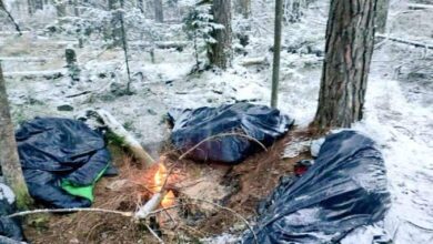 صورة وفاة 3 مهاجرين يمنيين على الحدود البيلاروسية