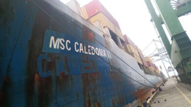 صورة وصول السفينة MSC  CALEDONIA إلى محطة حاويات ميناء عدن في أولى رحلاتها