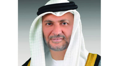 صورة قرقاش: جهود الإمارات لتعزيز التوافق العربي لن تتوقف
