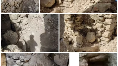 صورة الأجهزة الأمنية بيافع رصد تقبض على المتهم في تخريب قلعة القارة التاريخية