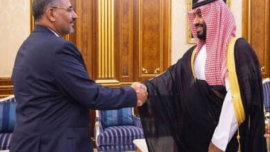 صورة الجنوب والسعودية.. دفء العلاقات رغم أنف قوى الشر والإرهاب