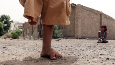 صورة الأمم المتحدة تكشف عدد ضحايا الألغام الحوثية في الحديدة اليمنية