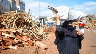 صورة الحطب ملاذ اليمنيين مع اشتداد أزمة الغاز المنزلي