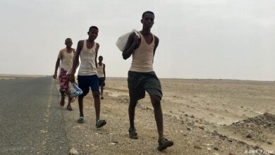 صورة تدفق قياسي للمهاجرين الأفارقة إلى اليمن