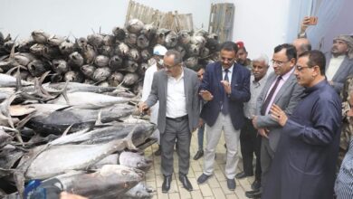صورة السقطري يطلع على سير النشاط السمكي والصناعي بمصنع الوطنية لتعليب وتغليف الأسماك