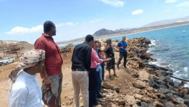 صورة فريق استشاري مصري يتفقد ميناء قناء بمحافظة شبوة