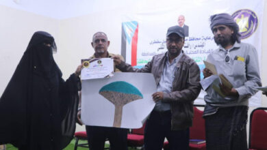 صورة انتقالي سقطرى يُكرّم الفائزين في مسابقة أفضل رسم تشكيلي لشجرة دم الأخوين
