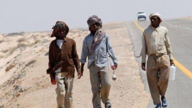 صورة انخفاض معدل تدفق المهاجرين من القرن الأفريقي إلى اليمن