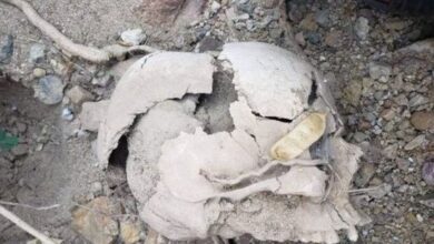 صورة العثور على هياكل عظمية لضحايا الحوثي في حرف سفيان بعمران