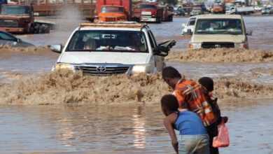 صورة الأمم المتحدة: 1500 شخص معرضون لخطر الفيضانات في اليمن