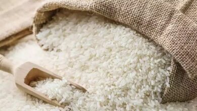 صورة روسيا تحظر تصدير الأرز مؤقتاً حتى نهاية العام