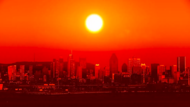 صورة خبراء أمريكيون في المناخ: 2023 العام الأشد حرارة على الإطلاق