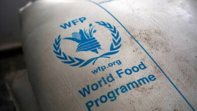 صورة 4.4 مليون متضرر من خفض مساعدات الأغذية العالمي