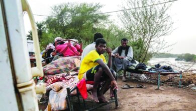صورة تحذير من تفشي الأوبئة جراء تحلل جثث القتلى في السودان