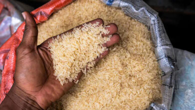صورة الهند تدرس فرض مزيد من القيود على تصدير الأرز