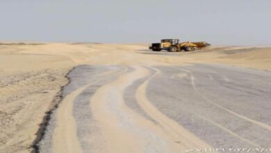 صورة صندوق صيانة الطرق بشبوة يواصل عملية إزالة الرمال على طريق النقية المكلا منطقة النشيمة