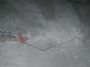 صورة مجهولون يرمون قنبلة على منزل أركان الحزام الأمني لحج