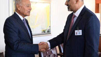 صورة الرئيس الزُبيدي يلتقي الأمين العام لجامعة الدول العربية