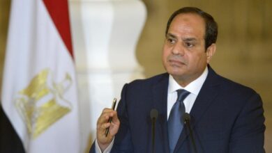 صورة الرئيس المصري: مصر دولة قوية ذات سيادة لا تمس