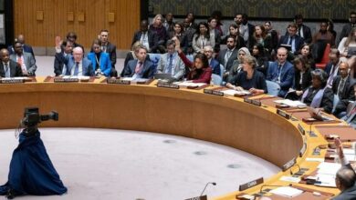 صورة الإمارات ودعم غزة في مجلس الأمن.. ملحمة دبلوماسية والتزام راسخ