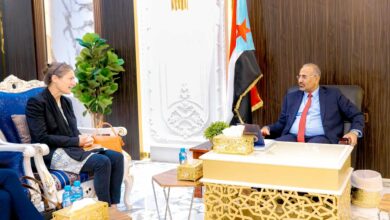 صورة الرئيس الزُبيدي يستعرض مع السفيرة الهولندية مستجدات جهود إحلال السلام في بلادنا