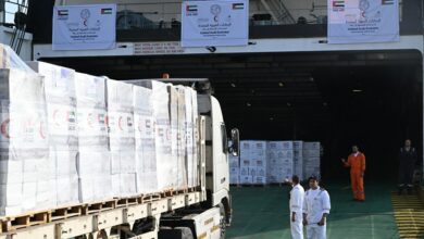 صورة وصول سفينة مساعدات إماراتية الى العريش بحمولة 4000 طن لدعم سكان غزة