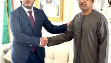 صورة وزير الكهرباء والطاقة  يبحث مع السفير الإماراتي تعزيز التعاون المشترك في مجال الطاقة