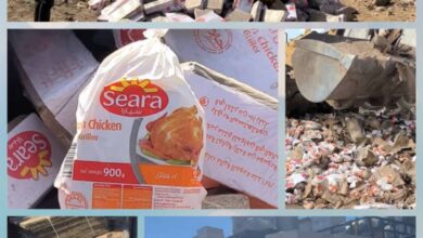 صورة رفض وإتلاف كمية كبيرة من الدجاج المجمد الفاسد في العاصمة عدن ومنتجات أخرى مخالفة في حضرموت